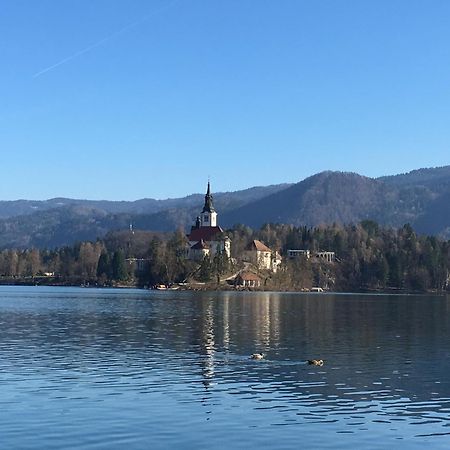 Vila Cerne Bled Kültér fotó
