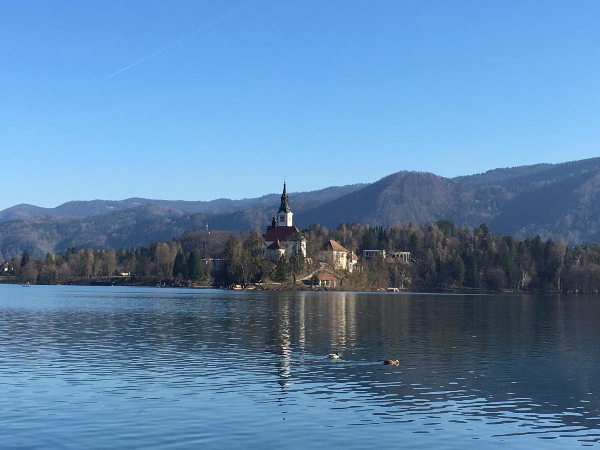 Vila Cerne Bled Kültér fotó