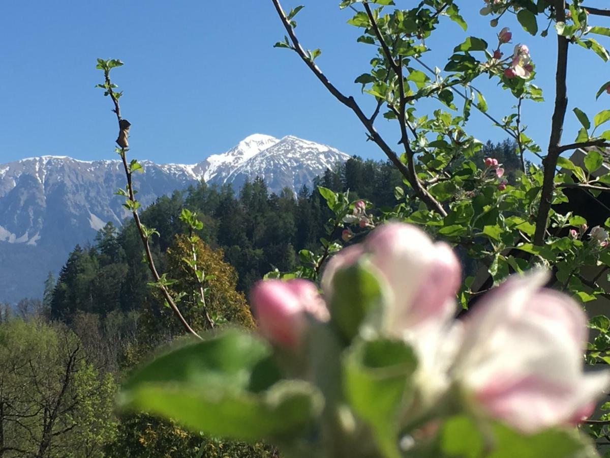 Vila Cerne Bled Kültér fotó